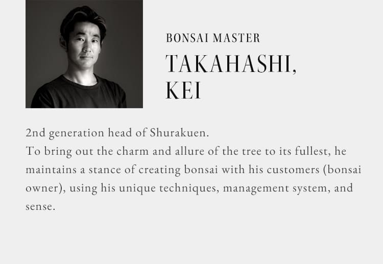 BONSAI MASTER/TAKAHASHI, KEI
