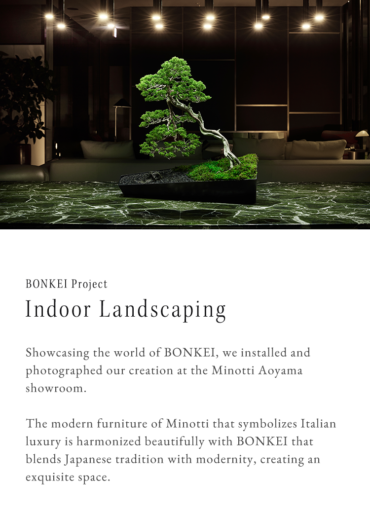 Indoor Landscaping