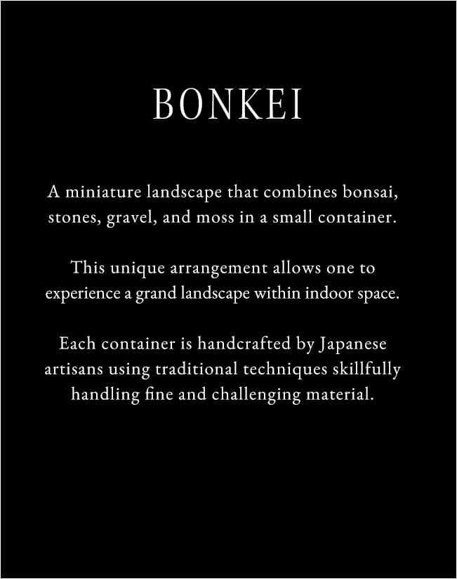 A miniature landscape that combines bonsai, stones, gravel, and moss in a small container.This unique arrangement allows one to experience a grand landscape within indoor space.Each container is handcrafted by Japanese artisans using traditional techniques skillfully handling fine and challenging material.