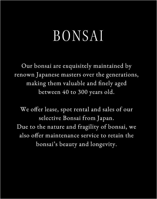 Our bonsai are exquisitely maintained by renown Japanese masters over the generations, making them valuable and finely aged between 40 to 300 years old.We offer lease, spot rental and sales of our selective Bonsai from Japan.Due to the nature and fragility of bonsai, we also offer maintenance service to retain the bonsai’s beauty and longevity.